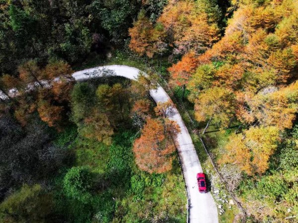 Jiulong Pond in Langshan Mountain glowed with poetic autumnal&nbsp;tints
